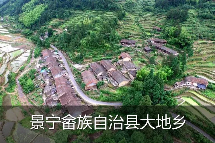 景宁畲族自治县大地乡