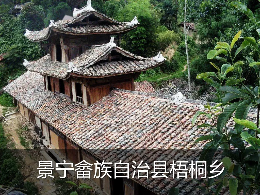 景宁畲族自治县梧桐乡