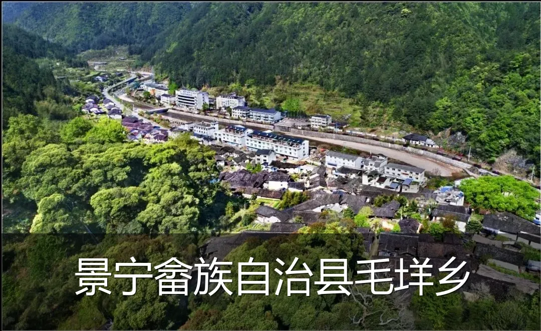 景宁畲族自治县毛垟乡