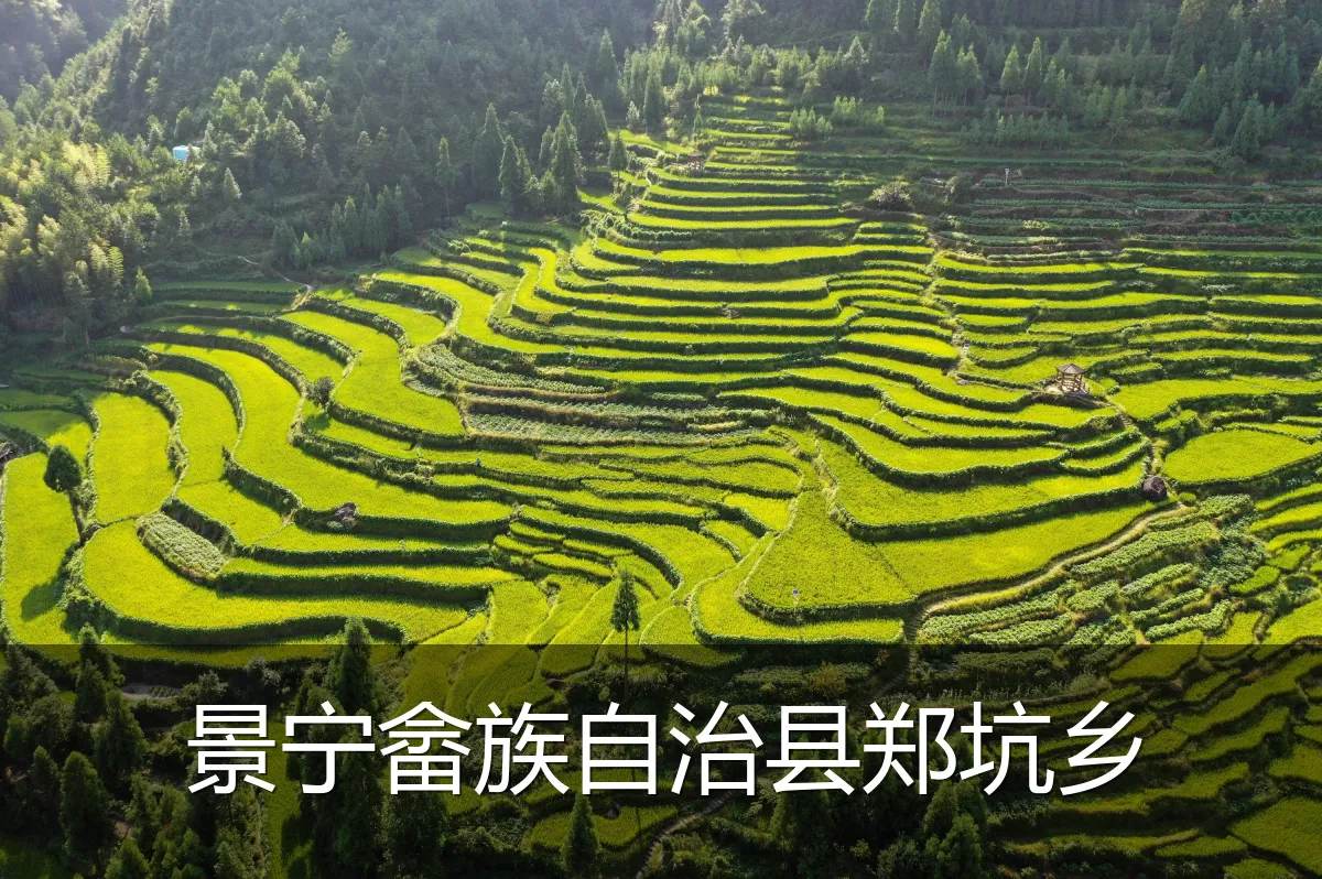 景宁畲族自治县郑坑乡