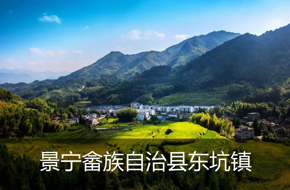景宁畲族自治县东坑镇