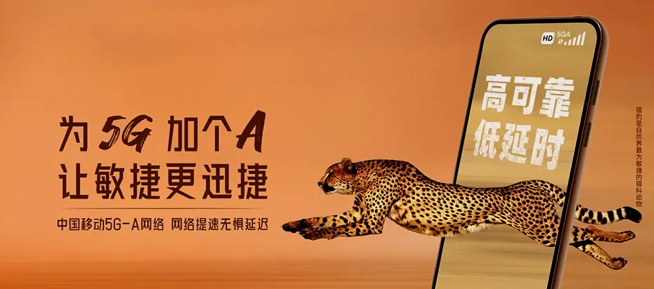 景宁畲族自治县景宁畲族自治县渤海镇 移动宽带